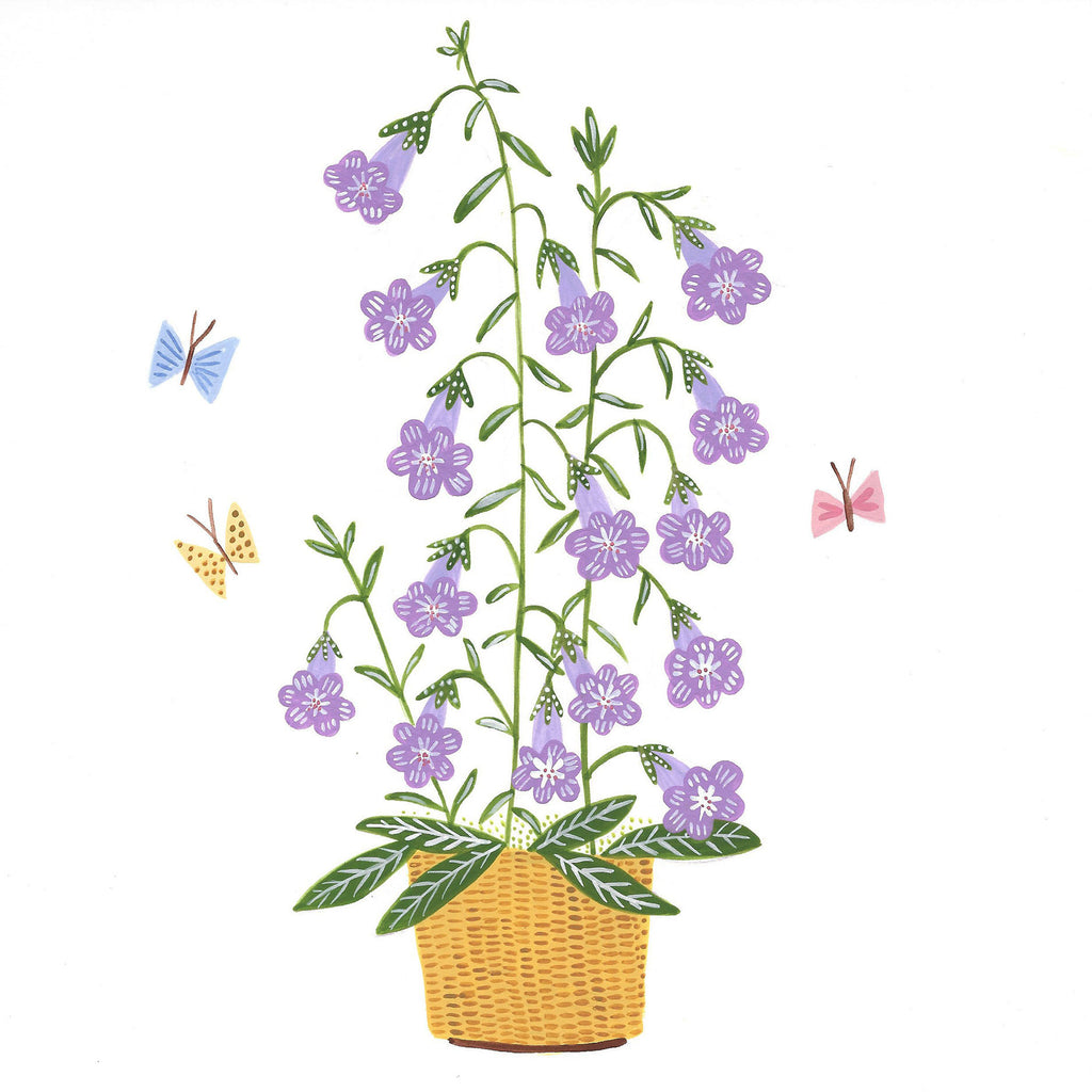 Prints * Lightship Basket * Purple Foxglove