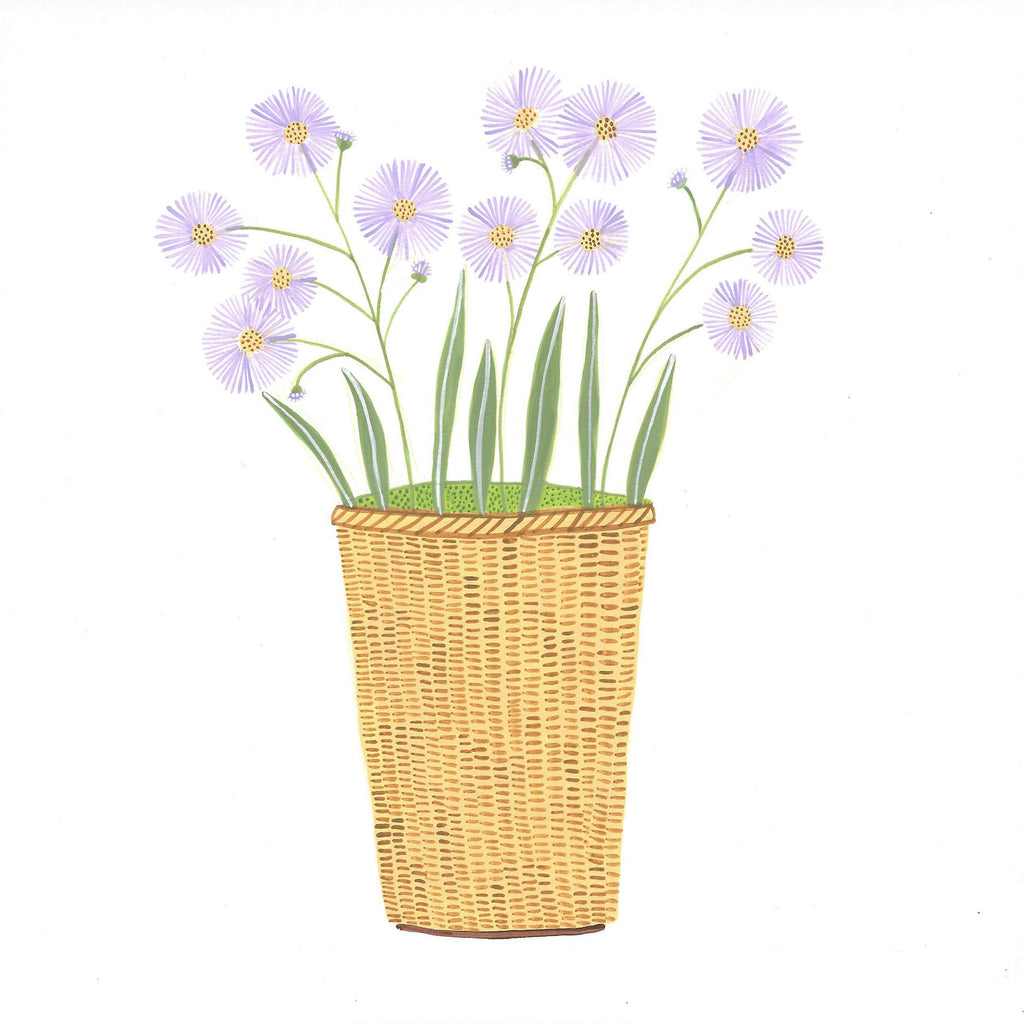 Prints * Lightship Basket * Purple Aster