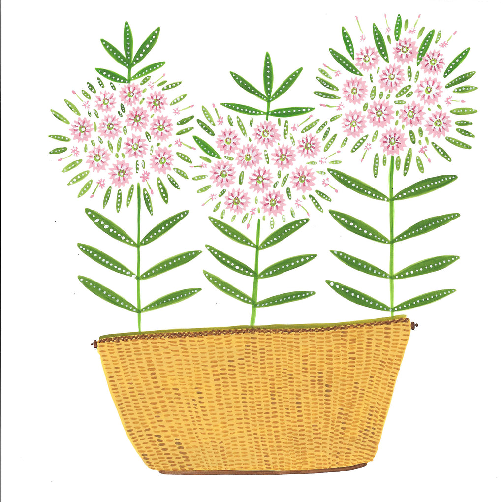 Prints * Lightship Basket * Sheep Laurel