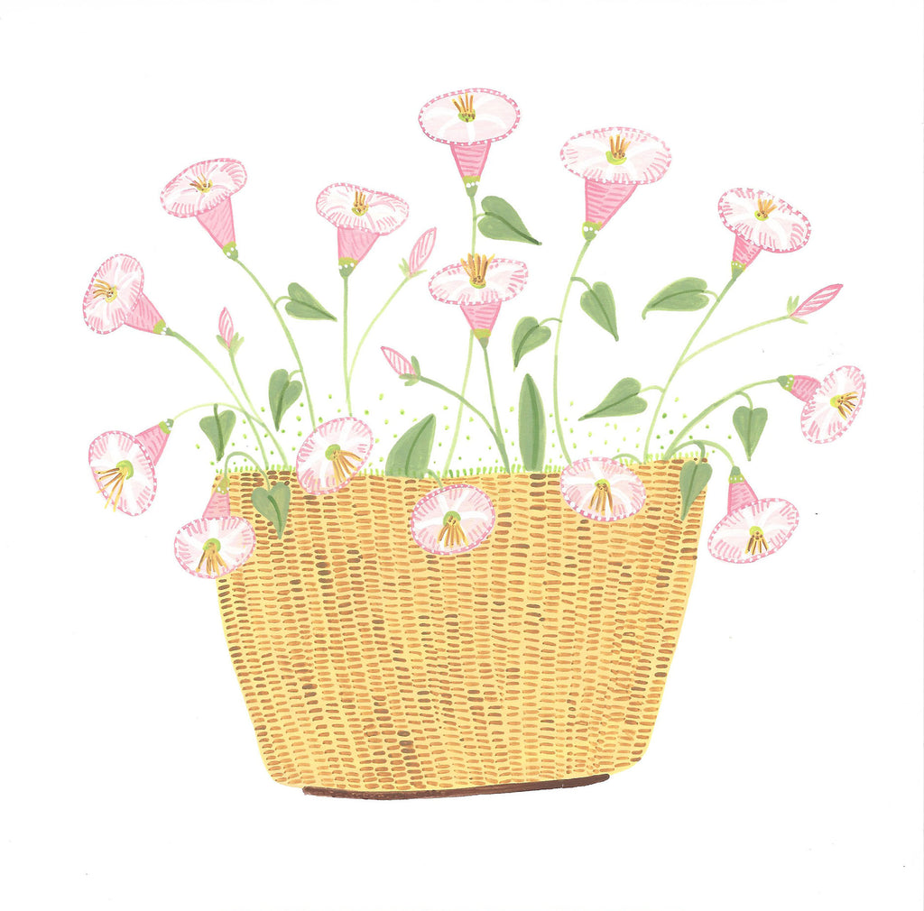 Prints * Lightship Basket * Pink Morning Glory