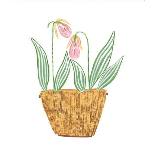 Prints * Lightship Basket * Lady's Slipper