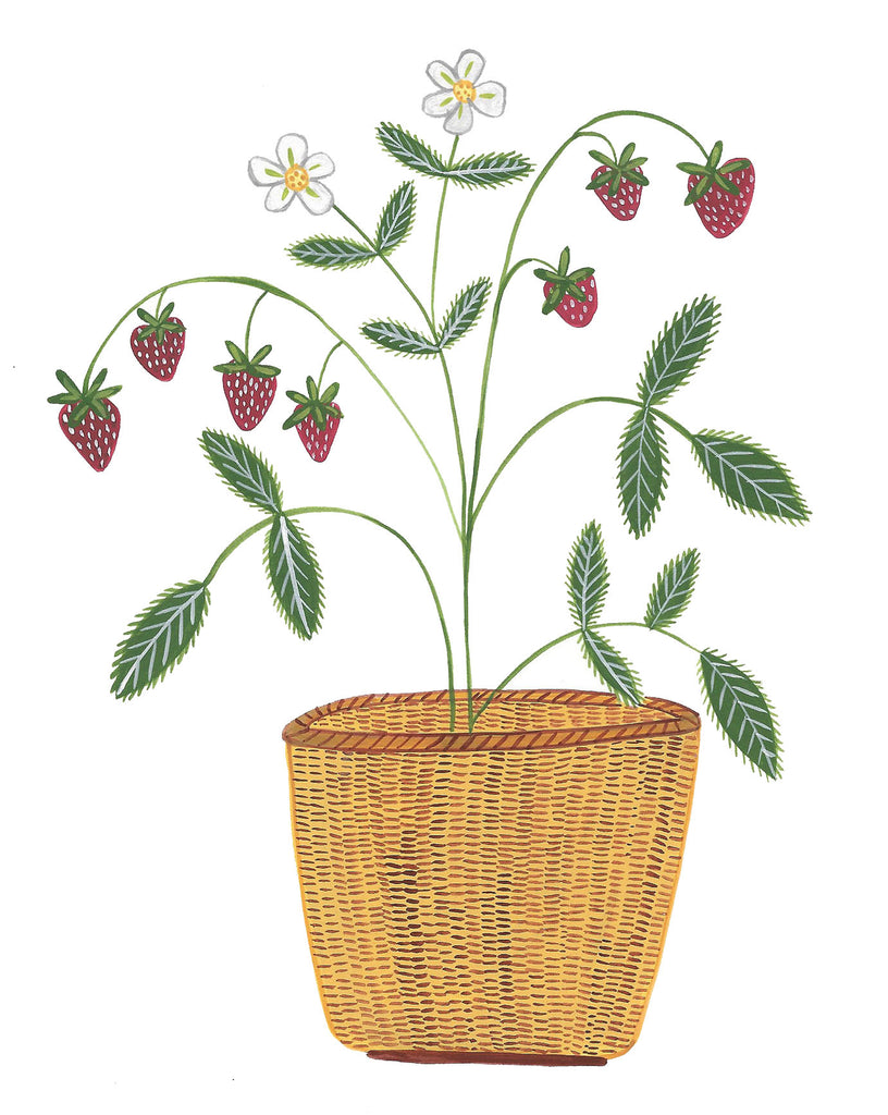 Prints * Lightship Basket * Strawberry