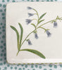 Boxes * 3 inch Square * Blue Lily